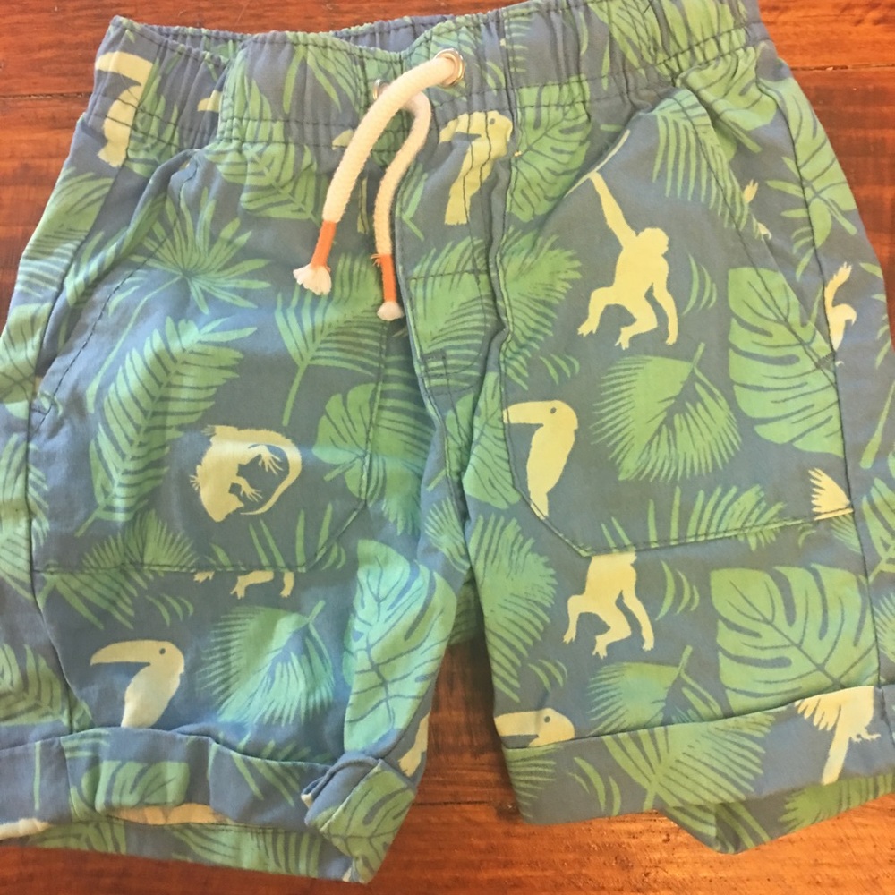 Boys Cat & Jack 2T shorts